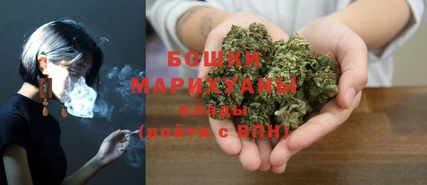 сатива Медногорск